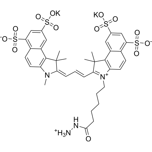Sulfo CY3.5 hydrazide
